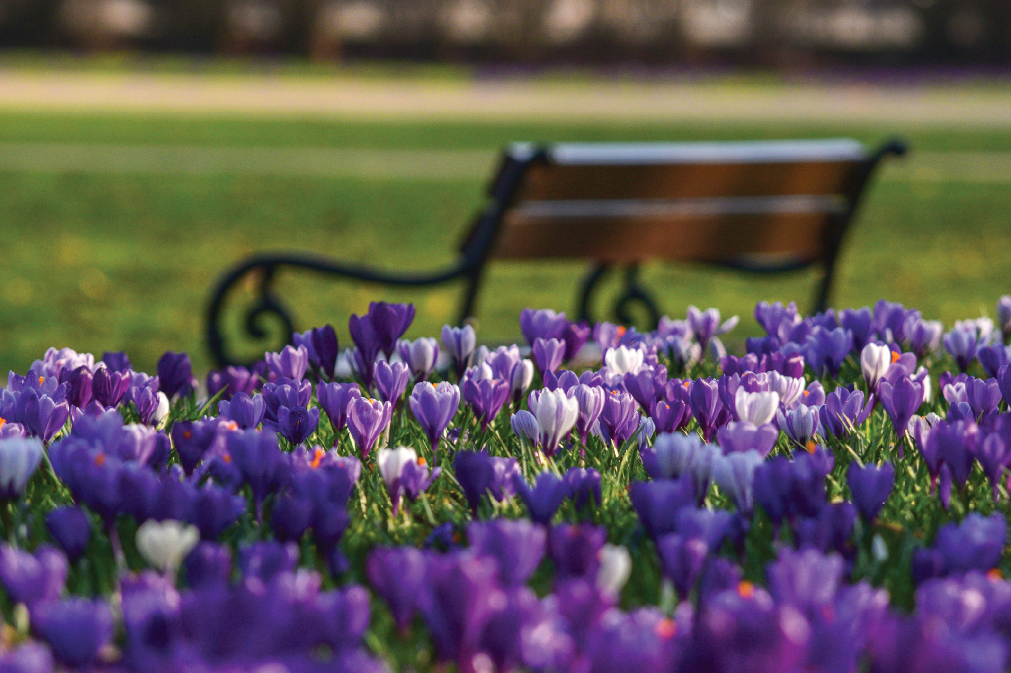 May Events in the Ann Arbor Area